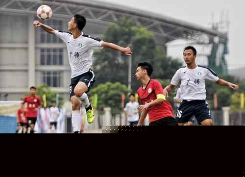 关于瑞士的Freimann三兄弟的名字，这次应该...（这次就定了：瑞士Freimann三兄弟的姓名）